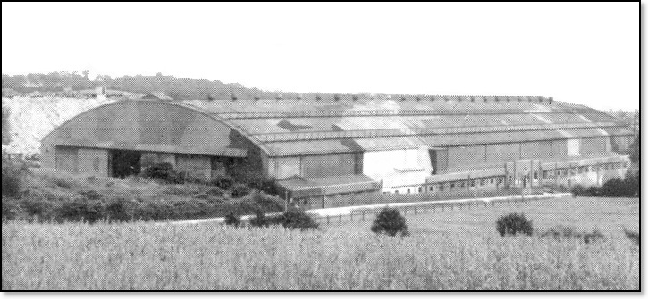 flight-shed-1946-view-from-cofton-park
